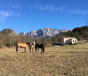 Die Casa | Gîte d'étape d'Aurouses