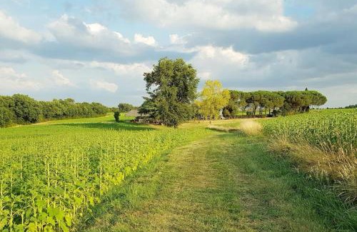 Cuq Casa | Gîte de campagne L'Estressol