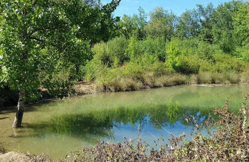 Cuq Casa | Gîte de campagne L'Estressol