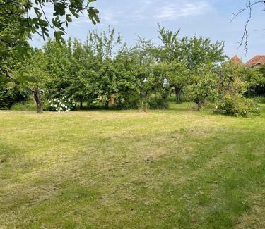 Vouneuil-sur-Vienne Casa | Gîte de charme La Pocterie