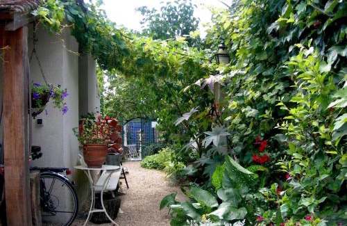 Selles-sur-Cher Casa | Gîte de charme Courjumelle