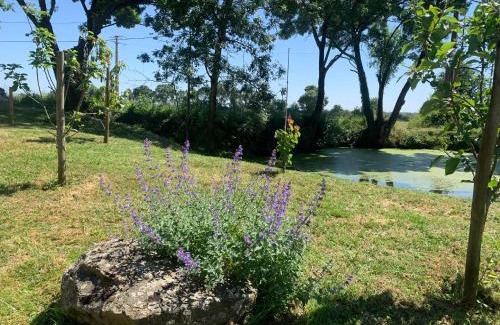 Le Louroux-Beconnais Apartamento | Gîte de la Bourrelière