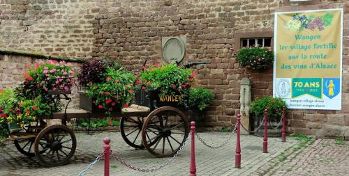 Wangen Casa | GÎTE DE LA FONTAINE