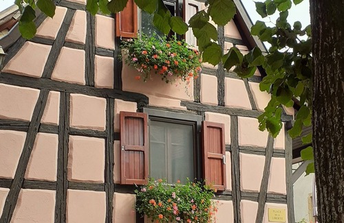 Rouffach Casa | Gîte de la Liberté - sur la route des Vins d'Alsace proche Colmar