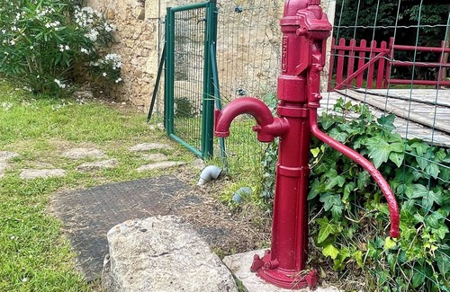 Barsac Cabaña | Gîte de La Peloue - Barsac Sauternes - Near Bordeaux - Rated 4 stars ****