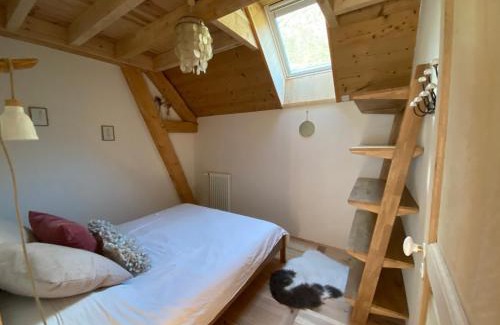 Aragnouet Casa | Gîte de Montagne
