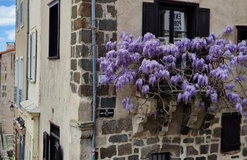 Le Puy-en-Velay Apartamento | Gîte Des Tables - Cathédrale, Cœur historique, Vue