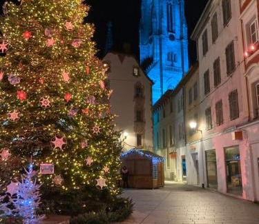 Mulhouse Apartamento | Gîte des Victoires