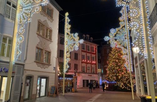 Mulhouse Apartamento | Gîte des Victoires