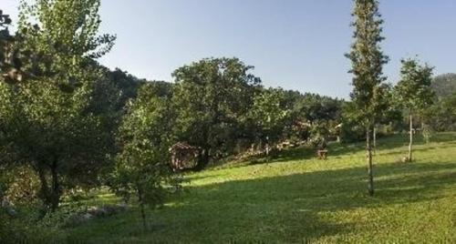 Alajar Casa | Gîte El Conejo