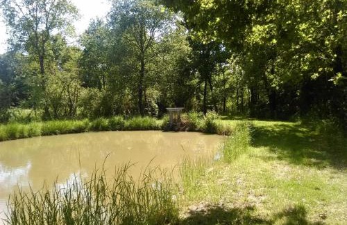Rosnay Casa | Gîte familial au cœur du parc de La Brenne avec étang privé, cheminée, Wi-Fi et animaux acceptés - FR-1-591-377