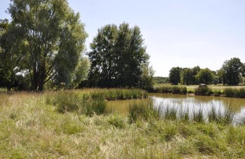 Chailly-en-Gatinais Casa | Gîte familial en ferme avec jardin, proche forêt et canal d'Orléans - Label Tourisme et Handicap - FR-1-590-7