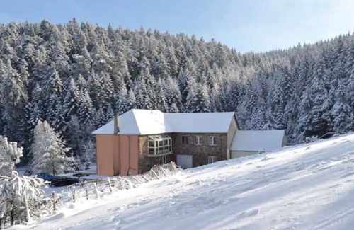 Wangenbourg-Engenthal Cabaña | Gîte immerso nel verde accanto a un ruscello
