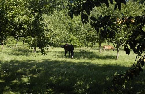 Neuville-Bosc Casa | Gîte LA BERGERIE
