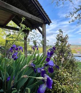 Martel Casa | Gîte La Blanchie Haute
