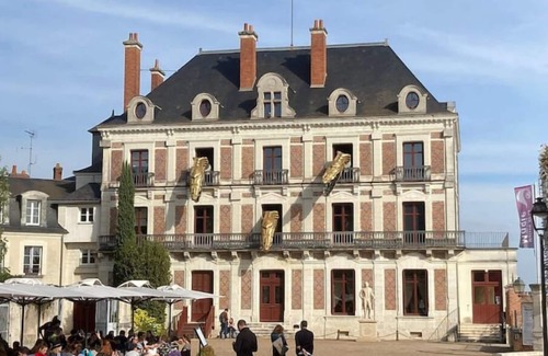 Saint-Laurent-Nouan Casa | Gîte "La Grande Maison"
