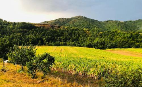 Blassac Casa | Gîte La Petite voûte
