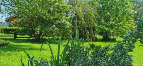 Ban-sur-Meurthe-Clefcy Apartamento | Gîte Le Clos des Vosges