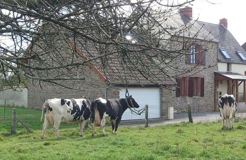 Lolif Casa | Gîte le Mont, à la campagne en Normandie, proche du Mont St Michel