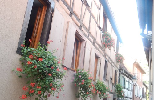 Turckheim Apartamento | Gîte les cigogneaux
