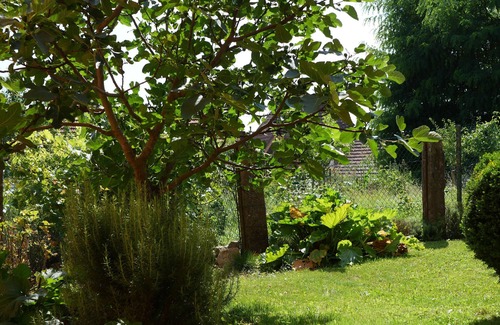 Gougenheim Casa | Gîte "Les Figuiers" Terrace Garden Jacuzzi