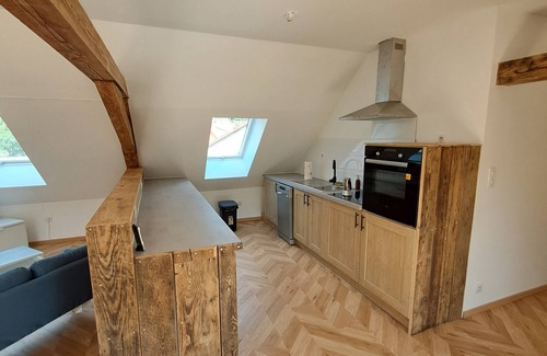 Breitenbach-Haut-Rhin Apartamento | Gîte "les Combles"