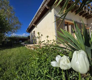 La Brillanne Casa | Gîte les Syrphes