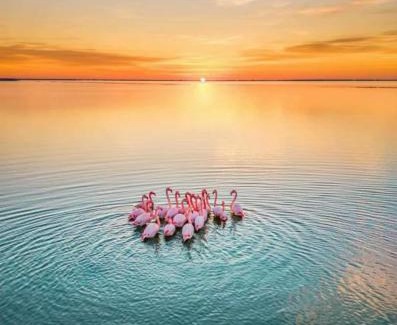 Mireval Apartamento | Gîte Lo Becarut L'Escapade Des Flamants Roses