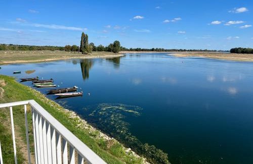 Ingrandes-Le Fresne sur Loire Casa | Gîte Loirizon vue Loire 4 personnes