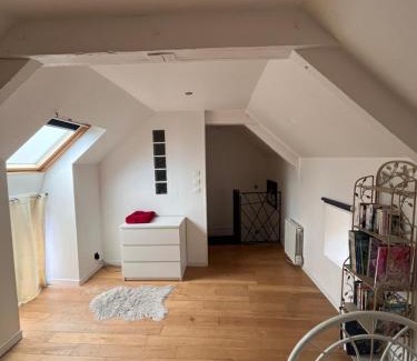 Josselin Casa | Gîte maisonnette- Et à côté coule une rivière