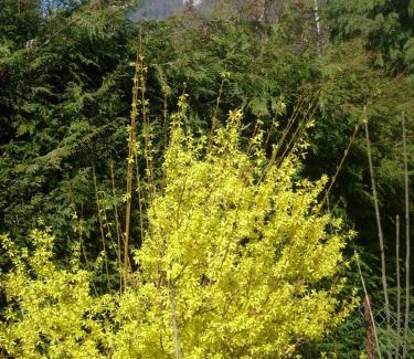 Saint-Martin-en-Vercors Casa | Gîte meublé Les Centaurées