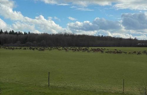 La Trinite-des-Laitiers Casa | Gîte paisible en Normandie avec WiFi, animaux admis - FR-1-497-227