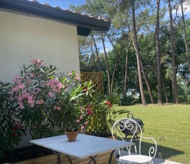 Came Apartamento | Gîte Pays Basque Domaine de La Lande "Les pins"