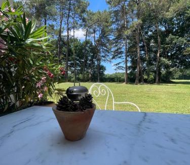 Came Apartamento | Gîte Pays Basque Domaine de La Lande "Les pins"