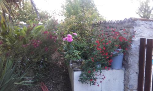 Allas-Bocage Casa | Gîte Rouge Calme et Nature