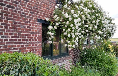 Leuze-en-Hainaut Casa | Gîte rural Les petites têtes