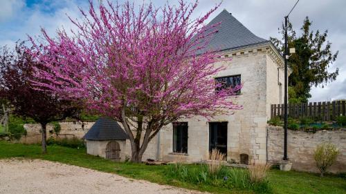 Epieds Casa | Gîte Saumur Le Pigeonnier, Calme et Cosy