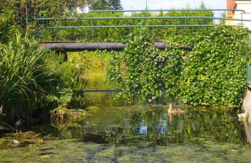 Saint-Omer Casa | Gîte spacieux avec jardin, barque, et label tourisme handicap - Marais Audomarois - FR-1-376-72