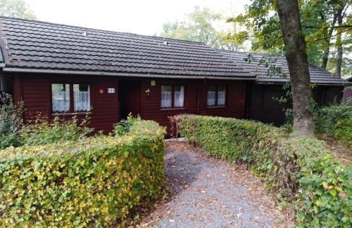 Marcouray Casa | gîte superéquipé en Ardenne belge
