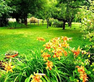 Pouillon Apartamento | Gîte Villa LORTIN