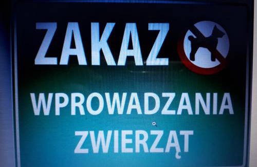 Glogow Apartamento | Głogów Przy Chopina