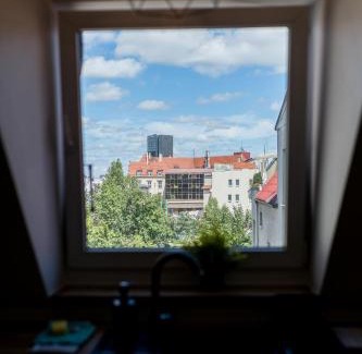 Grunwald Apartamento | Głogowska Spacious Apartment