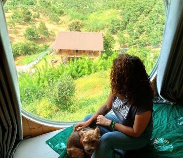 Bao Loc Cabina | Gạo hạt dẻ homestay