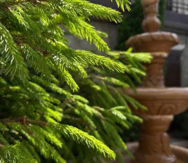 Gyumri Casa | G&S Guest House