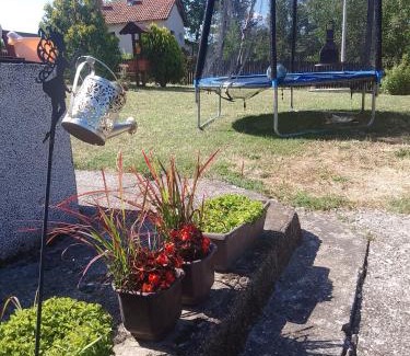 Lipovac Apartamento | Galerija Jovanović