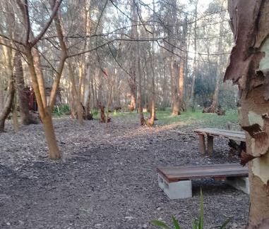 Partido de Monte Casa | Galilea