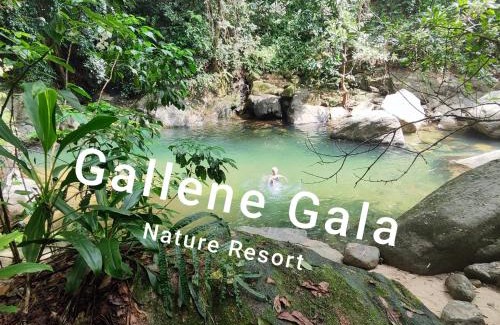Kithulgala Complejo | Gallene Gala Nature Resort