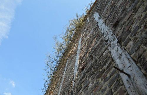 Untermaubach Apartamento | Ganze Wohnung - schönes und helles Loft in Kreuzau