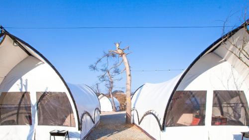 Seorak Casa | Gapyeong The Camp Caravan Glamping
