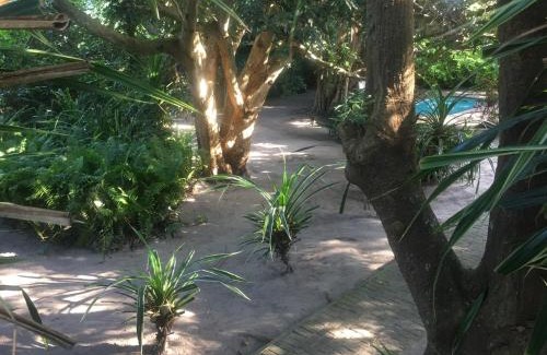 Meer En See Cama Y Desayuno | Garden Apartments